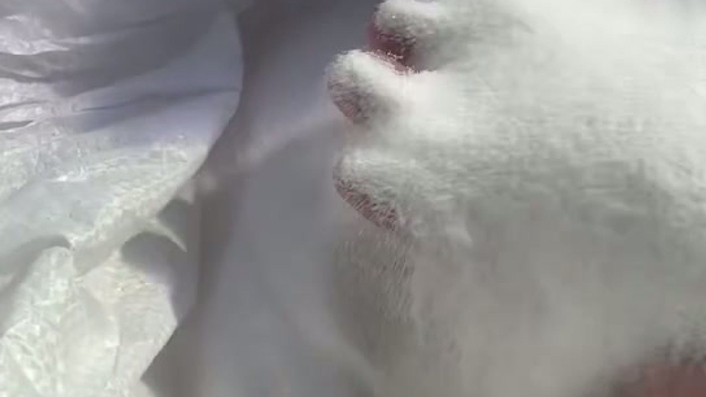 วิดีโอทั้งหมด